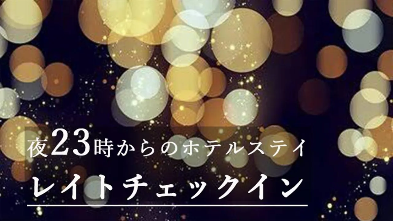 ***  Hotel Plaisir Akihabara 東京都 日本